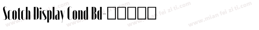 Scotch Display Cond Bd字体转换